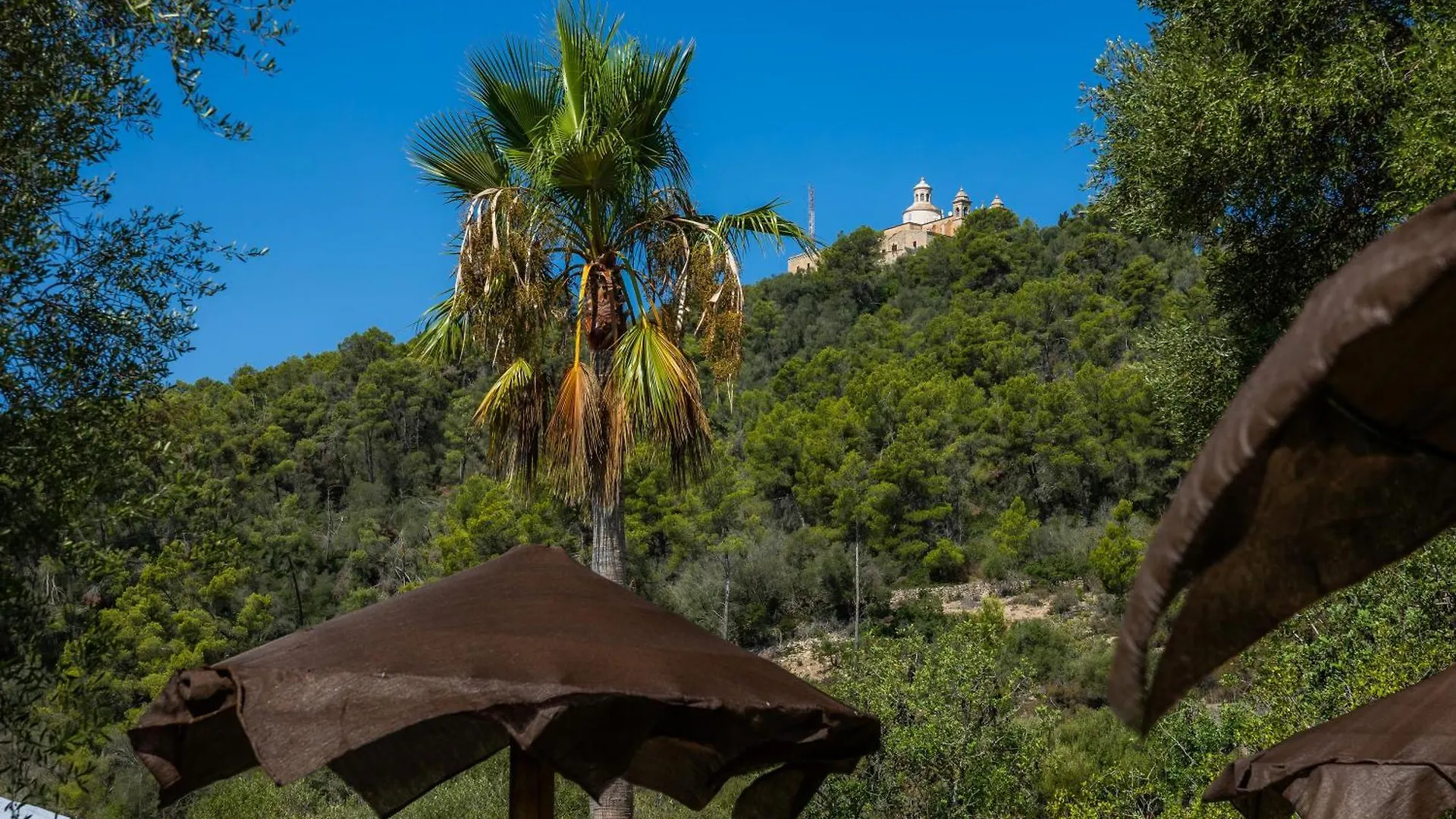 Es Forn Apartment Petra  Spain